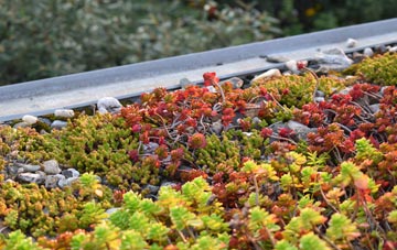 the cost of Llanharry green roof installation