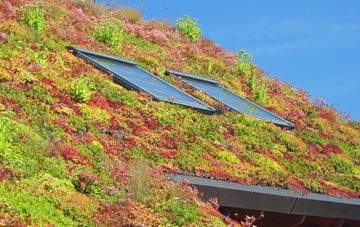 Llanharry living roof systems